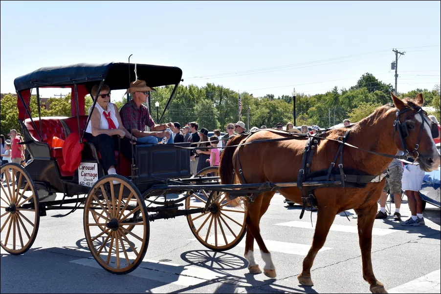 Horse & Buggy