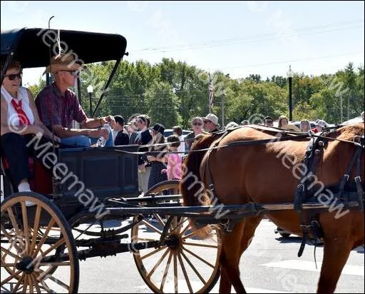 Horse & Buggy