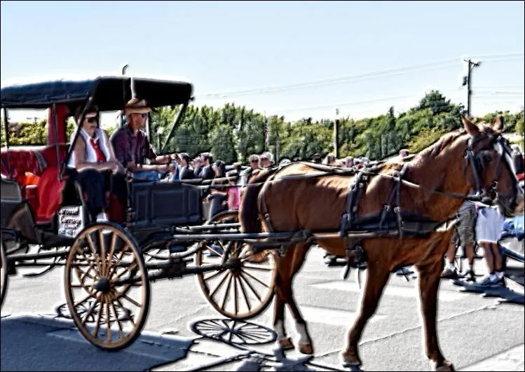 Horse & Buggy